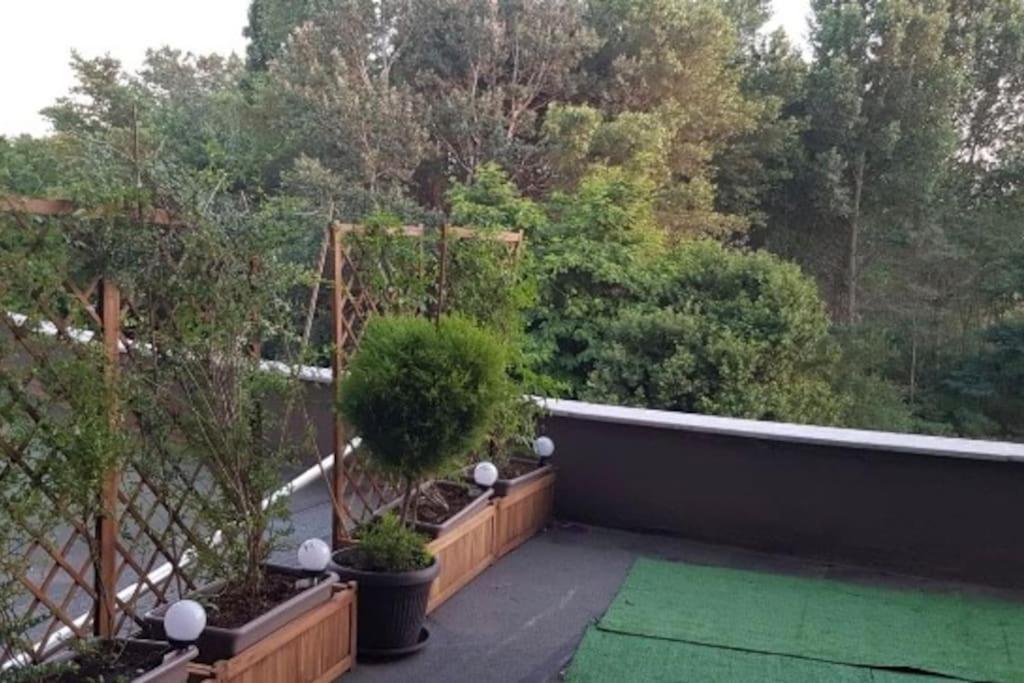 Apartment For Rent In Sunny Beach/ Nesebar
